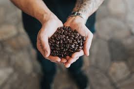 Kopi luwak is the second most expensive coffee beans brand in the world. The Most Expensive Coffee In The World 2020