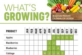 Whats Growing Georgia Produce Calendar Infographic