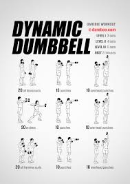 dynamic dumbbell workout