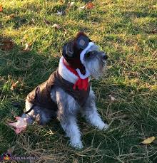 amelia earhart dog costume diy