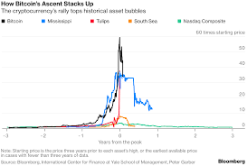 Bitcoin Bubble Did Bitcoin Just Burst How It Compares To