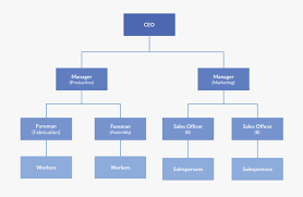 Flow Chart Organizational Structure Car Company