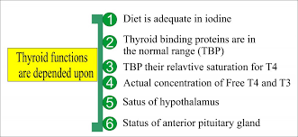 Learn what high & low levels mean and how to normalize them. Thyroid Part 1 Thyroid Function Test Thyroid Hormones T4 T3 Tsh Labpedia Net