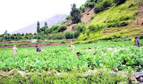 Video i 4k och hd för alla nle omedelbart. Himachal Will Go Organic By 2022 Agri Minister