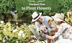 Plant Flowers Planting Calendar