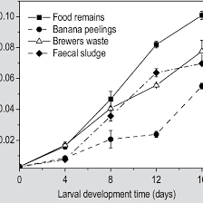 Growth Of Black Soldier Fly Bsf Larvae Increase In Dry