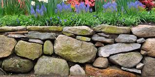 Pool Landscaping Ideas With Rocks