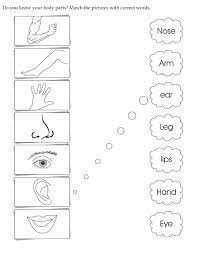 So these cards can teach kids new. Body Parts Worksheets For Preschoolers Phenomenal Pin On Environmental And Social Studies Free Jaimie Bleck