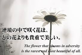 「逆境」の画像検索結果