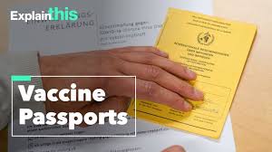 How do you get a vaccine passport? Eu Told To Back Vaccine Passports Or Google May Do It Anyway Bloomberg