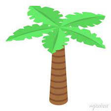 Palm Tree Icon Isometric Of Palm Tree