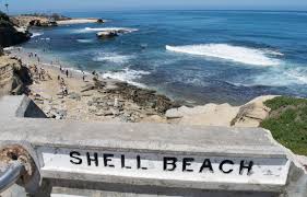 Shell Beach La Jolla Ca California Beaches