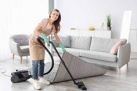 hepa vacuum cleaners for allergies
