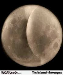 Image result for full moon funny images