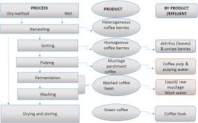 coffee processing wastewater treatment