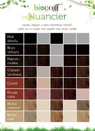 color chart co coiffure