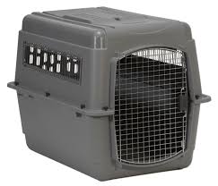Petmate Airline Cargo Crate Extra Large