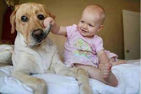 Reasons Why Babies Should Grow Up With A Dog - Chelsea Dogs Blog