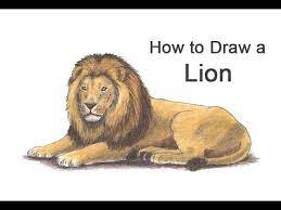 how to draw a lion color you