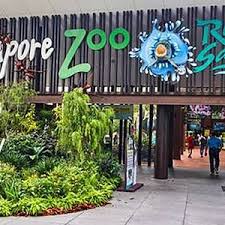 Singapore Zoo - All You Need to Know BEFORE You Go (with Photos)
