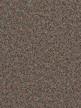 tan 3440 900 carpet bett carpets