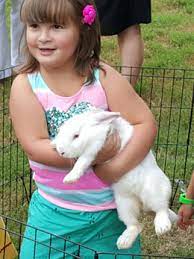 These many pictures of petting zoo birthday party invitations list may become your inspiration and informational purpose. Pony Rides And Princess Pony Parties Atlanta Pony Parties Faq By My Pony Party Atlanta