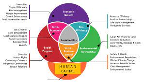 four pillars of sustainable development