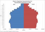 America s Age Profile Told through Population Pyramids
