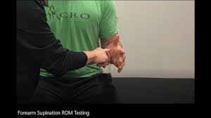 motion merement forearm supination