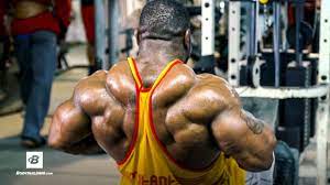 mutant back workout for m