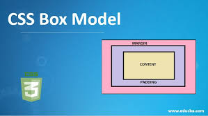 css box model exles to see how the