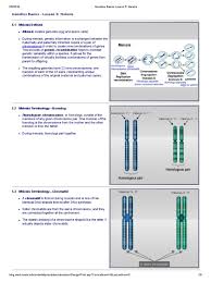 The first meiotic division is a reduction division (diploid → haploid) in which homologous chromosomes are separated. Cell Division For Grade 8 Meiosis Chromosome
