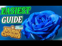 easiest guide to get blue roses in