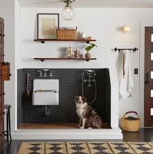 10 Trendy Dog Wash Stations We Are