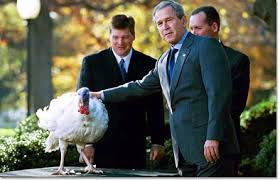 The presidential presentation of a turkey has been a longtime annual thanksgiving tradition that dates back to the truman administration. The Annual Pardoning Of The Thanksgiving Turkey