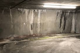 Subterranean Parking Garage Leaks