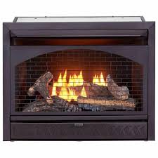 Natural Gas Indoor Fireplace Insert