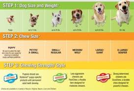 Nylabone Nutri Dent Limited Ingredient Dental Dog Chews Petite Up To 10 Lbs Green