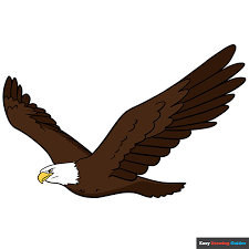 how to draw an eagle really easy