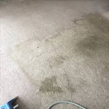 carpet cleaning in chautauqua county