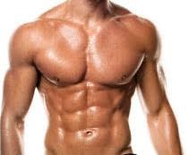 Bodybuilding Proportion Guide Bodybuilding Symmetry Muscle