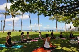top 12 yoga teacher trainings in hawaii