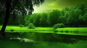 green nature background image