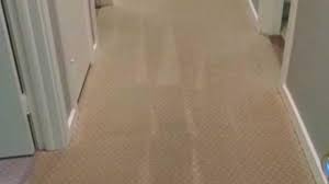 carpet cleaning stamford dms carpet