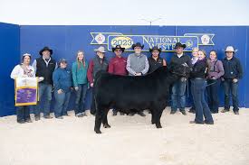 national livestock expositions