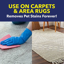 oxiclean carpet and rug pet stain and