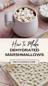 dehydrated marshmallows using an oven