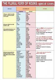 The Plural Form Of Nouns Special Cases Grammar Guide Ina