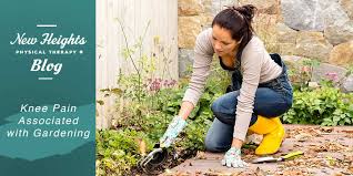 Knee Pain Associated With Gardening