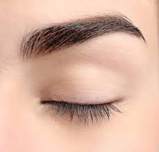 free brow images
